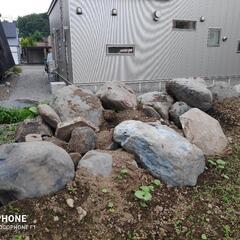 庭石差し上げます！の画像