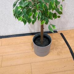 0731-039 造花　観葉植物の画像