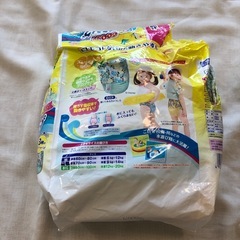 水遊び用オムツの画像