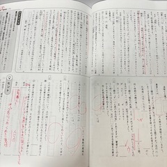 標準新演習 国語 小5 夏期テキスト 開成教育グループの画像