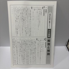 標準新演習 国語 小5 夏期テキスト 開成教育グループの画像