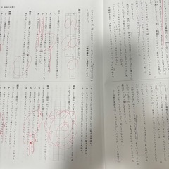 開成教育セミナー 夏期講習 問題集 国語5Aの画像