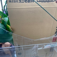 パンフレット棚
の画像