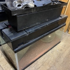 GEX 60サイズ水槽　電気　セットの画像