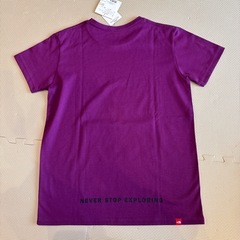 レディース　ノースフェイスTシャツ　Lの画像