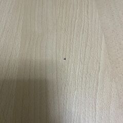 オフィス　応接セット（テーブル、イス）の画像
