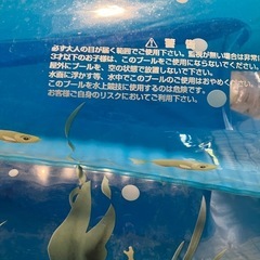 プールの画像