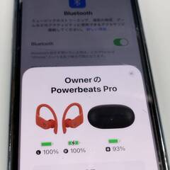 【現状品】Powerbeats Pro (A2078) ワイヤレスイヤホンの画像