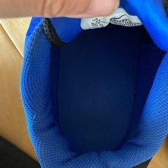 NIKE 24.5cmの画像