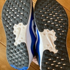 NIKE 24.5cmの画像