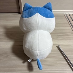 ハチワレ スフィンクスの画像