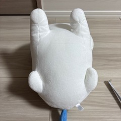 ハチワレ スフィンクスの画像
