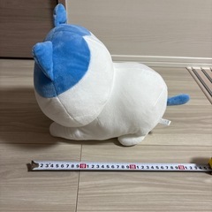 ハチワレ スフィンクスの画像