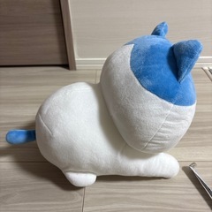 ハチワレ スフィンクスの画像