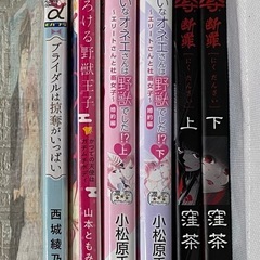 (お取引中)レンタル落ち漫画本の画像