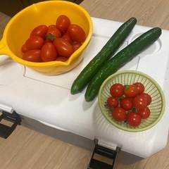 【お取引先 決定しました】色んな野菜の画像