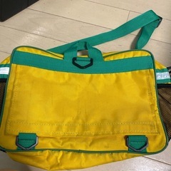 ビッグツリー　スイミングバッグの画像