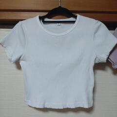 UNIQLO☆カットーソ2枚セットの画像