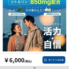 ヒサミツ　活力アミノ酸DX　26包の画像