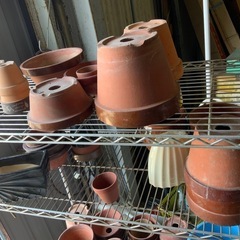一個の値段 植木鉢 大量 まとめ買いは値引きでの画像