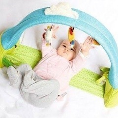 シギキッド社　プレイジムの画像