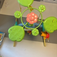 プーメリー難ありの画像