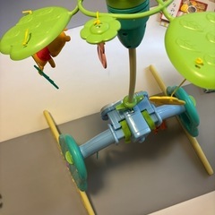 プーメリー難ありの画像