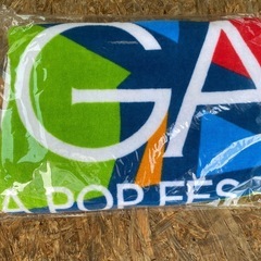 お薦め品‼️ 海/プール/川等で必需品1000円 フード付きタオル　の画像