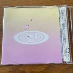 柴咲コウ 思い出だけではつらすぎるの画像