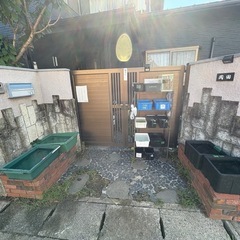 玄関先で小さなメダカ無人販売‼️
