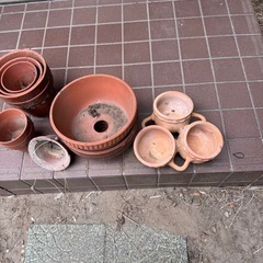 植木鉢セットの画像
