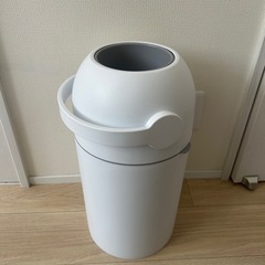 ステールの画像