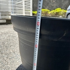 大型鉢植えの画像