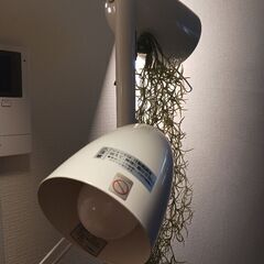白いスタンドライト三灯LED の画像