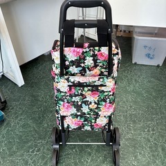 リユースのサカイ東金店　保冷キャリーケース　TJ13560の画像