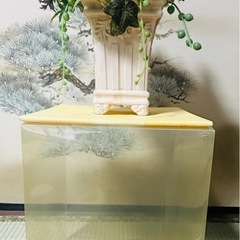 【無料】造花の画像