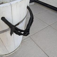 オリーブの木の画像
