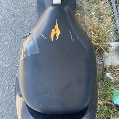 福岡市発　【自賠責R8.3】アドレスV50G 実働車の画像