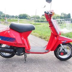 HONDA超綺麗TACT ホンダタクト綺麗な原付旧車当時物富山、石川、金沢の画像