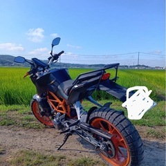KTM250　DUKEの画像