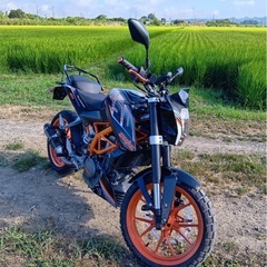 KTM250　DUKEの画像
