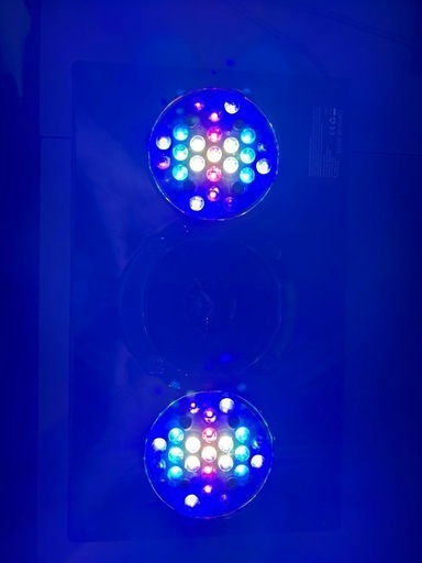 (モビウス対応済)RadionXR30G4PRO/ エコテックマリン/ラディオン モビウス対応済)RadionXR30G4PRO/ エコテックマリン/ラディオン
