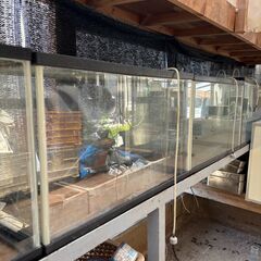 小さな水槽とコンクリートの水槽の画像