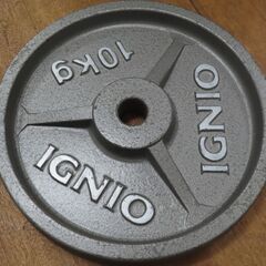 ☆IGNIO/イグニオ ウェイトプレート 10kg×2 レギュラーの画像
