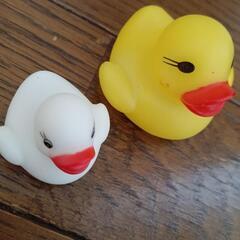 たまごっち　みみっち&アヒルの画像