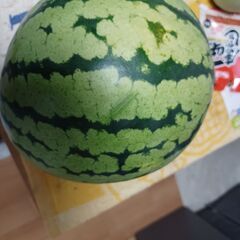 家庭菜園で収穫したスイカです　８月２日まで出品の画像