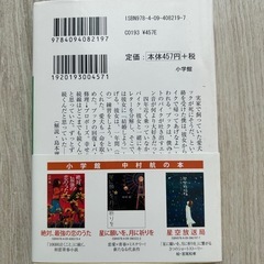 小説  100回泣くことの画像