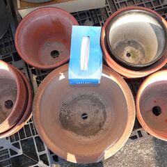 配達先決定🚚　無料配達します🚚大き目の植木鉢まとめて💖の画像