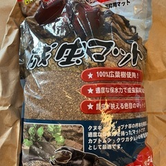 カブトムシ成虫マットの画像