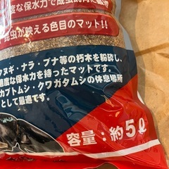 カブトムシ成虫マットの画像